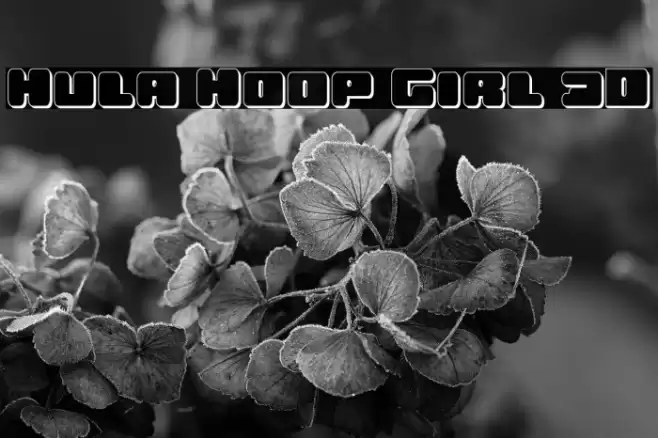 Hula Hoop Girl 3D Font examples