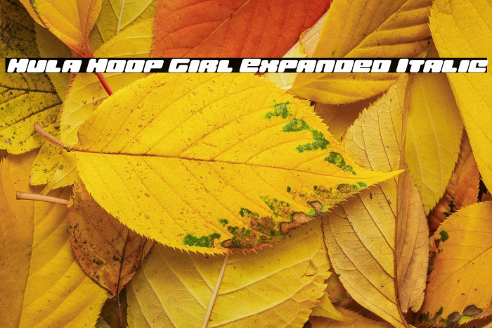 Hula Hoop Girl Expanded Italic Example 1