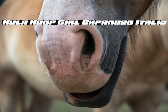 Hula Hoop Girl Expanded Italic Example 2