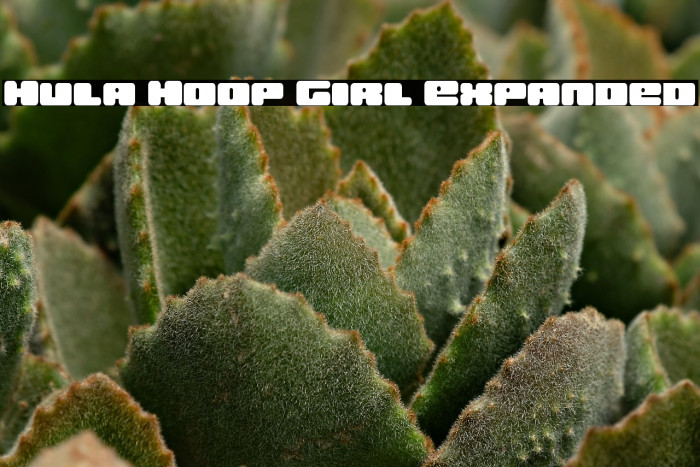 Hula Hoop Girl Expanded Example 1