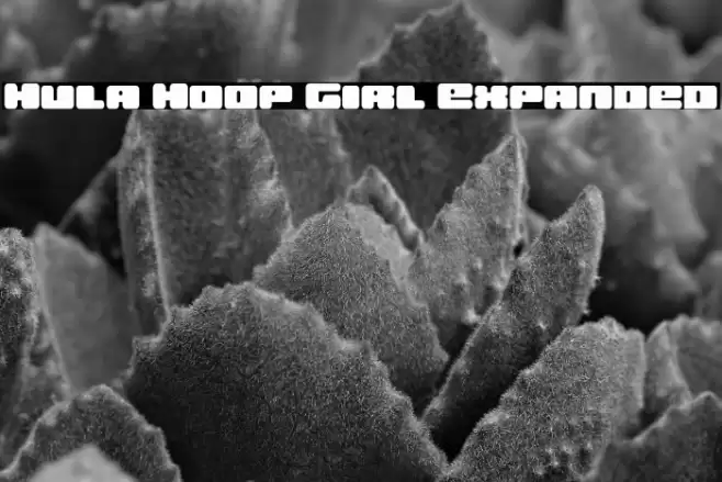 Hula Hoop Girl Expanded Font examples