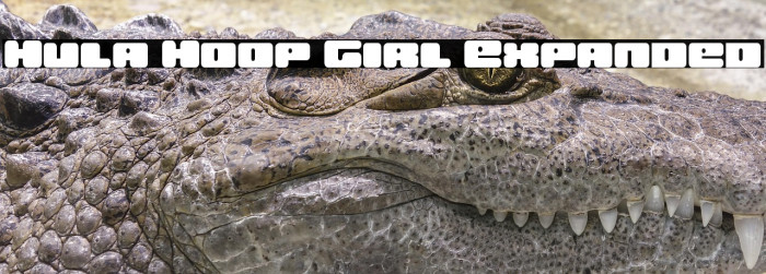 Hula Hoop Girl Expanded Example 2