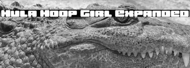 Hula Hoop Girl Expanded Font examples