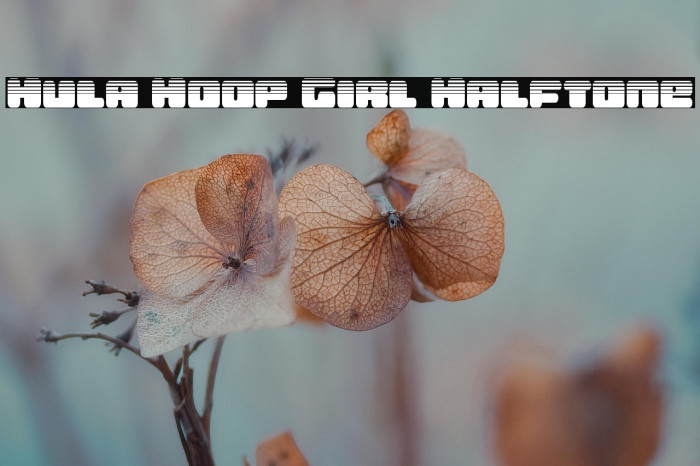 Hula Hoop Girl Halftone Example 2