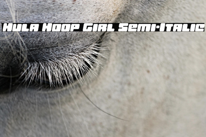 Hula Hoop Girl Semi-Italic Example 1
