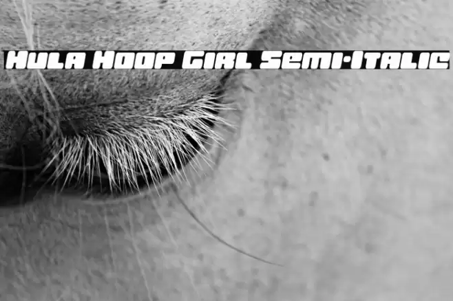 Hula Hoop Girl Semi-Italic Font examples