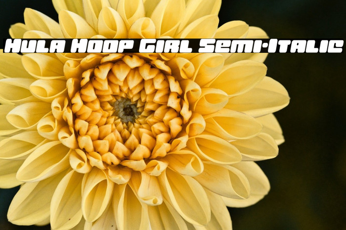 Hula Hoop Girl Semi-Italic Example 2