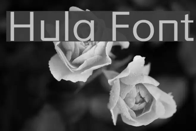 Hula Font examples