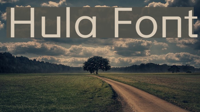 Hula Font examples