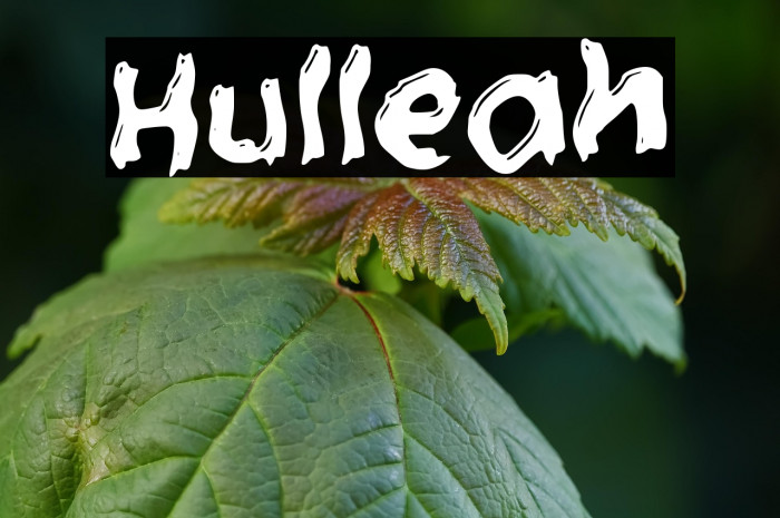 Hulleah Example 2