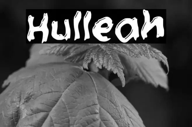 Hulleah Font examples