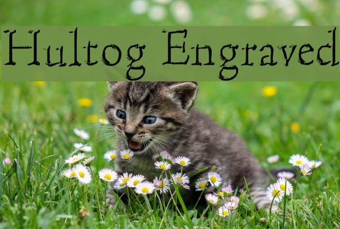 Hultog Engraved Font examples