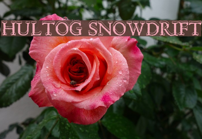 Hultog Snowdrift Font examples