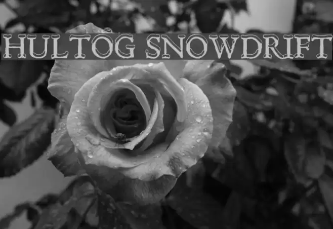 Hultog Snowdrift Caratteri examples