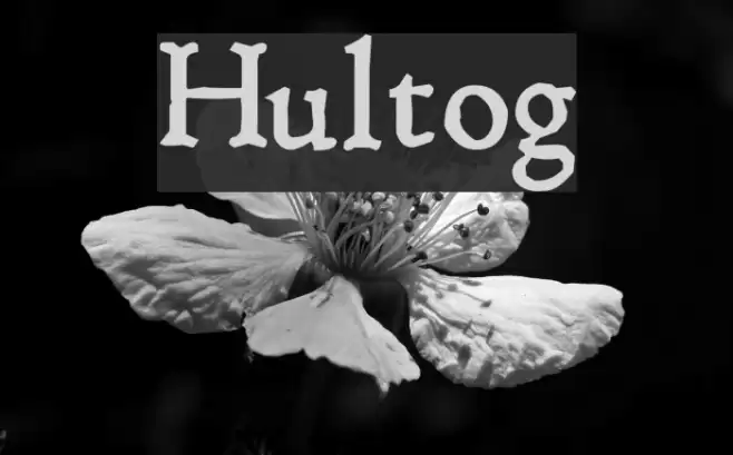 Hultog Font examples