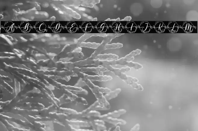 Humaira Monogram Font examples