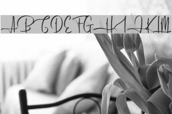 HumairaDemo Font examples