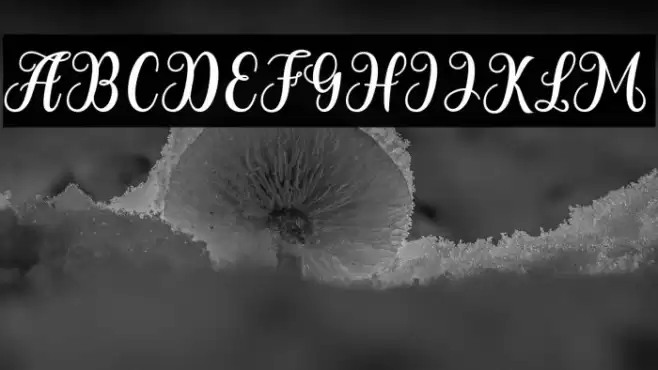 Humairah Font examples