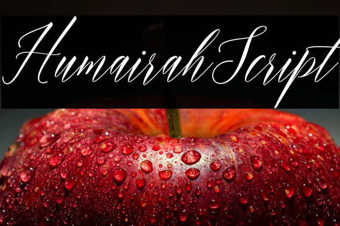 HumairahScript Example 2