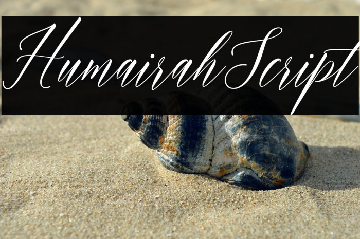 HumairahScript Example 3