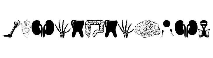 Human Anatomy  Frei Schriftart Herunterladen