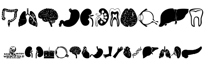 Human Anatomy Font OTHER CHARS