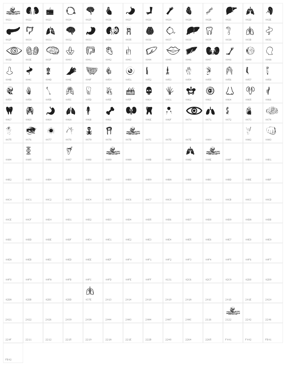 Human Anatomy Character Map