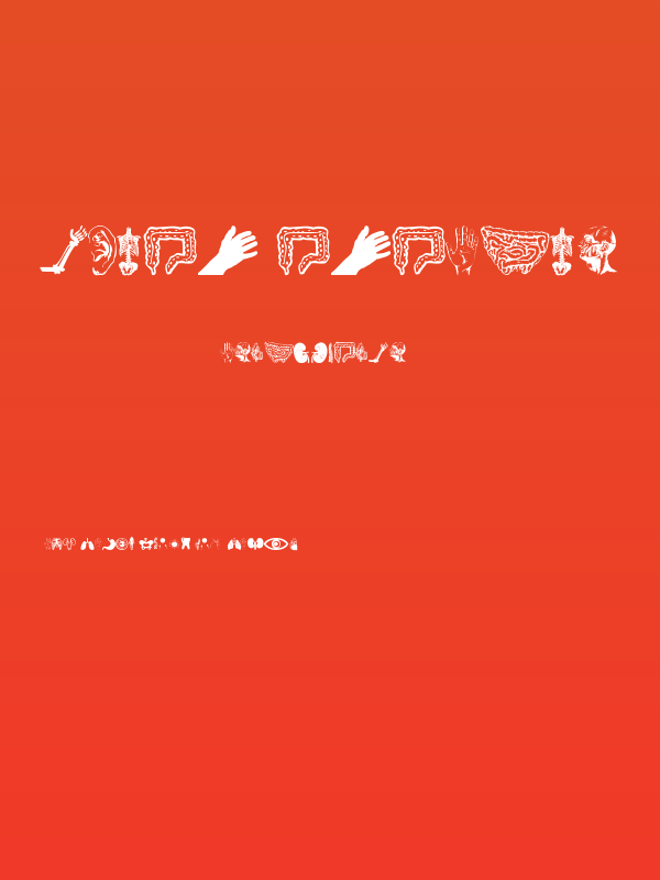 Human Anatomy Poster