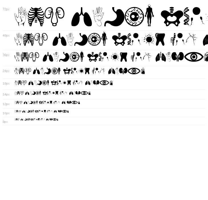 Human Anatomy Waterfall