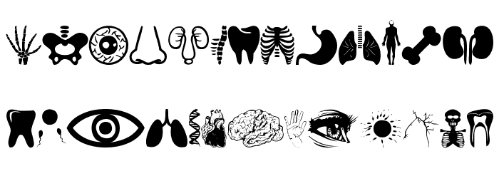 Human Anatomy Font LOWERCASE