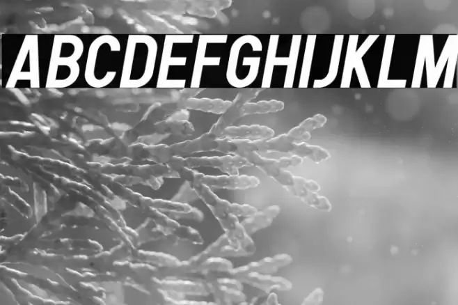 Human Bold Italic Font examples