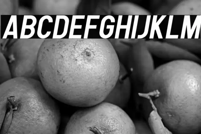 Human Bold Italic Font examples