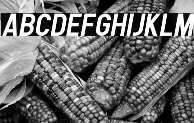 Human Bold Italic Font examples