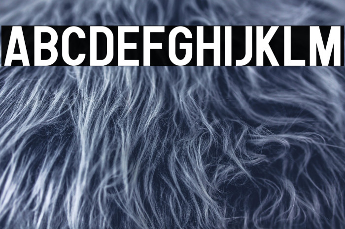 Human Bold Example 1