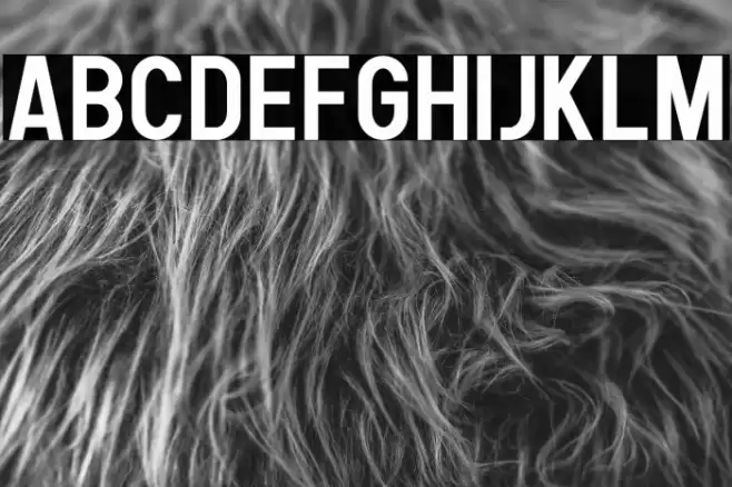 Human Bold Font examples