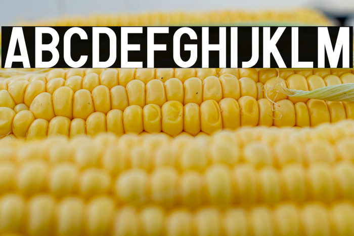 Human Bold Example 3