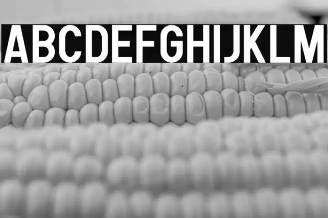 Human Bold Font examples