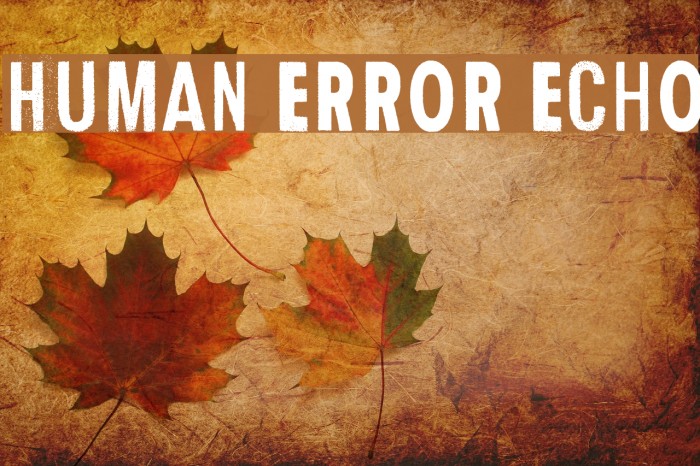 Human Error Echo Font examples