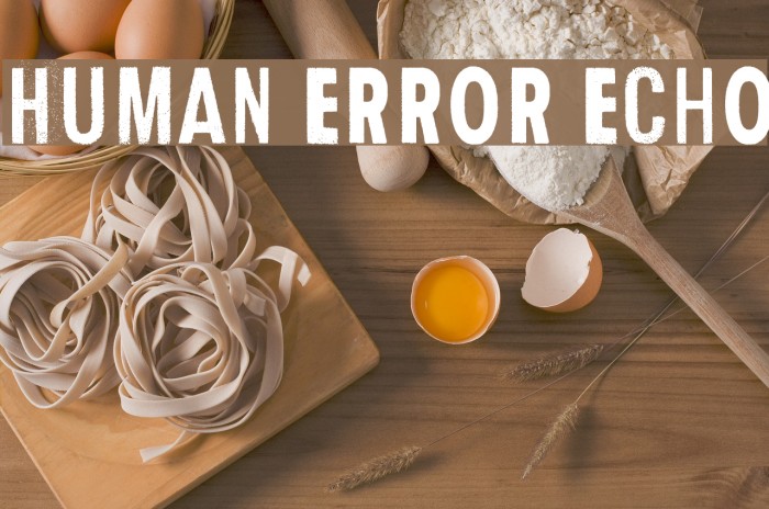 Human Error Echo Font examples