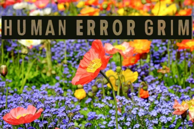 Human Error Grim Example 2