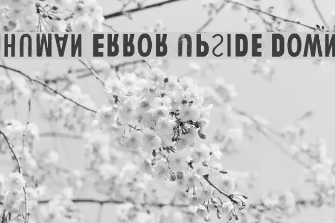 Human Error Upside Down Font examples