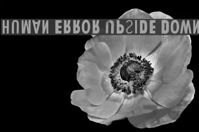 Human Error Upside Down Font examples