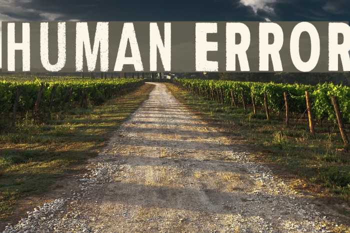 Human Error Fonte examples