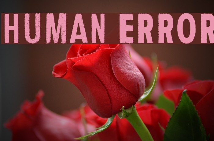 Human Error Fonte examples
