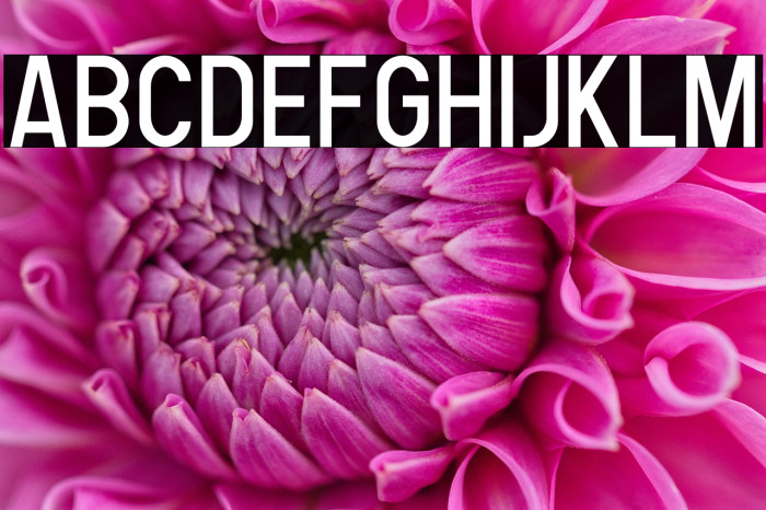 Human Regular Example 1