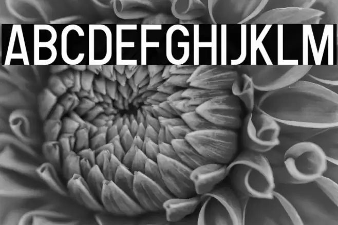 Human Regular Font examples