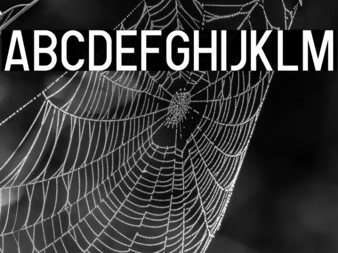 Human Regular Font examples