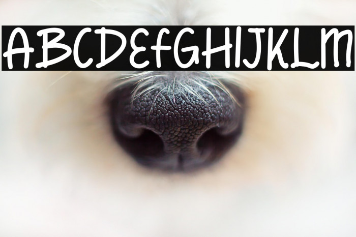 Human Right Example 1