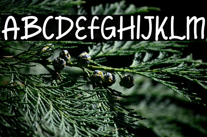 Human Right Example 2