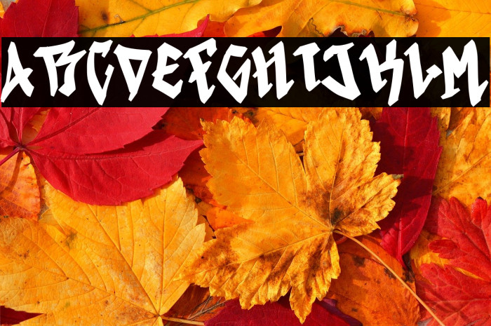 Human Syndicate - 1 Example 1